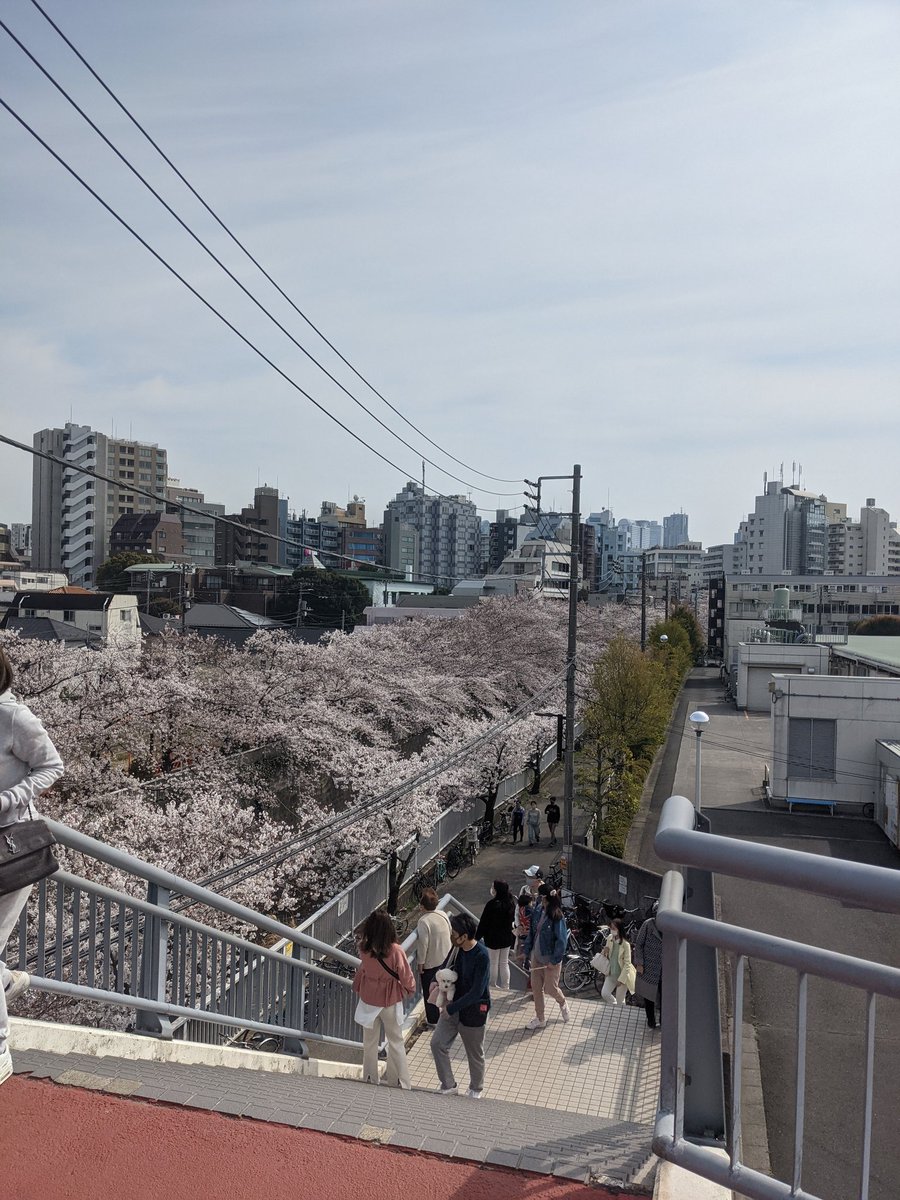 twwitter tweet media