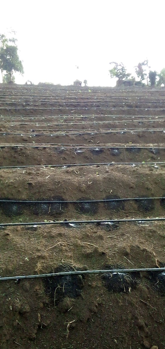 TESTING DRIP IRRIGATION SYSTEMS
Our team of technicians and engineers successfully tested the drip irrigation system which was supplied and installed in Kyenjojo, Uganda.
Get in touch with us for more of these #CompleteWaterSolutions
0753736455
0414660937
info@adritexug.com