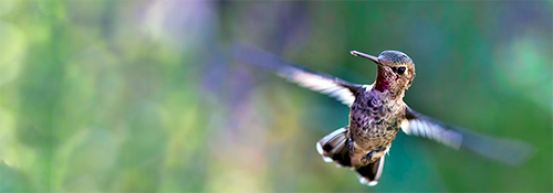 Premier baromètre national des soft skills attendus chez les managers français. Une étude Netlegis - Todo skills buff.ly/3cNWa8E