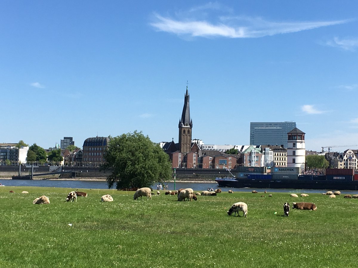 Brice Soccol tweet media