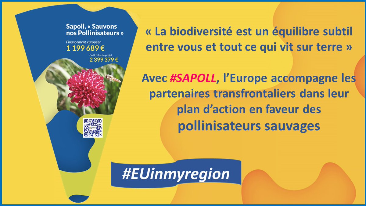 EuropeAmiens's tweet photo. L’Europe s'engage, investit et soutient ceux qui unissent leurs forces pour sauver les pollinisateurs🐝🦋#SAPOLL #Biodiversite #ForNature
En savoir+➡️https://t.co/H8yawTnCmt
#interreg #Feder #EUinmyregion #UEenRegion
Cc @EUinmyRegion @InterregFWVL @EU_ENV @hautsdefranceEU https://t.co/BEI4YuBXqk