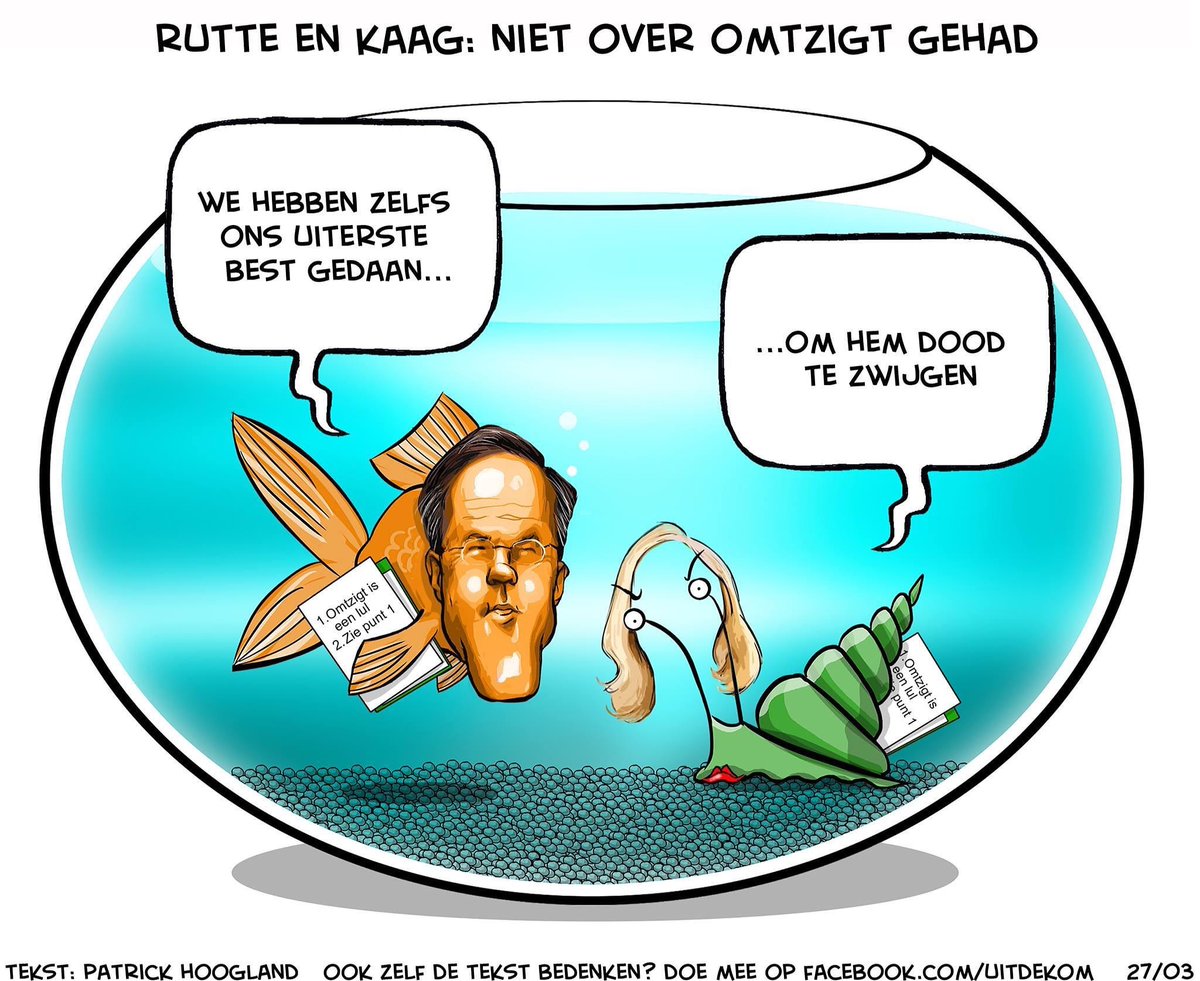 #Ollongrengate #Ruttedoctrine #Kaag #Omtzigt #omtzigtgate #Rutte #Ollongren