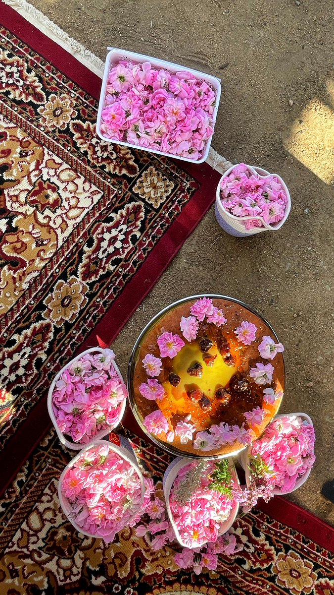 tarad501's tweet photo. #الورد_الطائفي https://t.co/VqeR6o7aSh