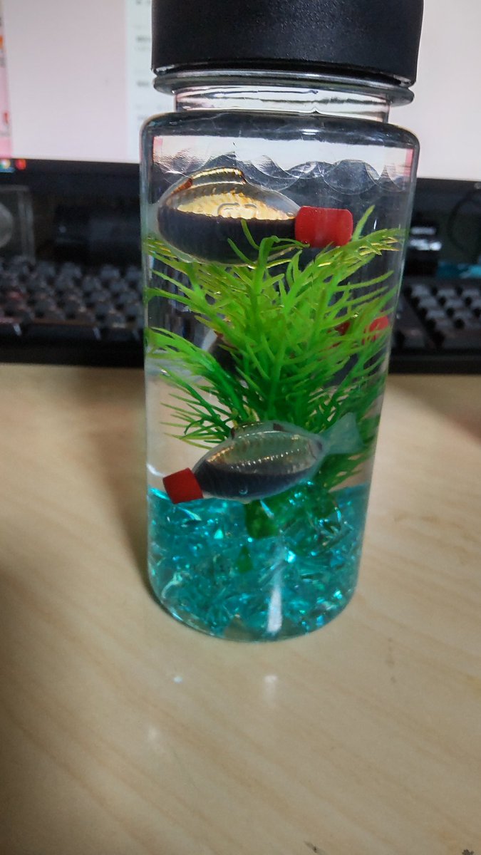 泳いでいるのは 醤油入れ 100均素材で作った なんちゃってアクアリウム が超かわいい 21年3月31日 Biglobeニュース