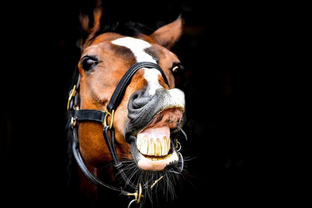 MagazineHq's tweet photo. SMILES ALL ROUND - IT'S THE WEEKEND! 🎉

📸  Merlynn Trichardt Photography https://t.co/7OxnLgG4q3