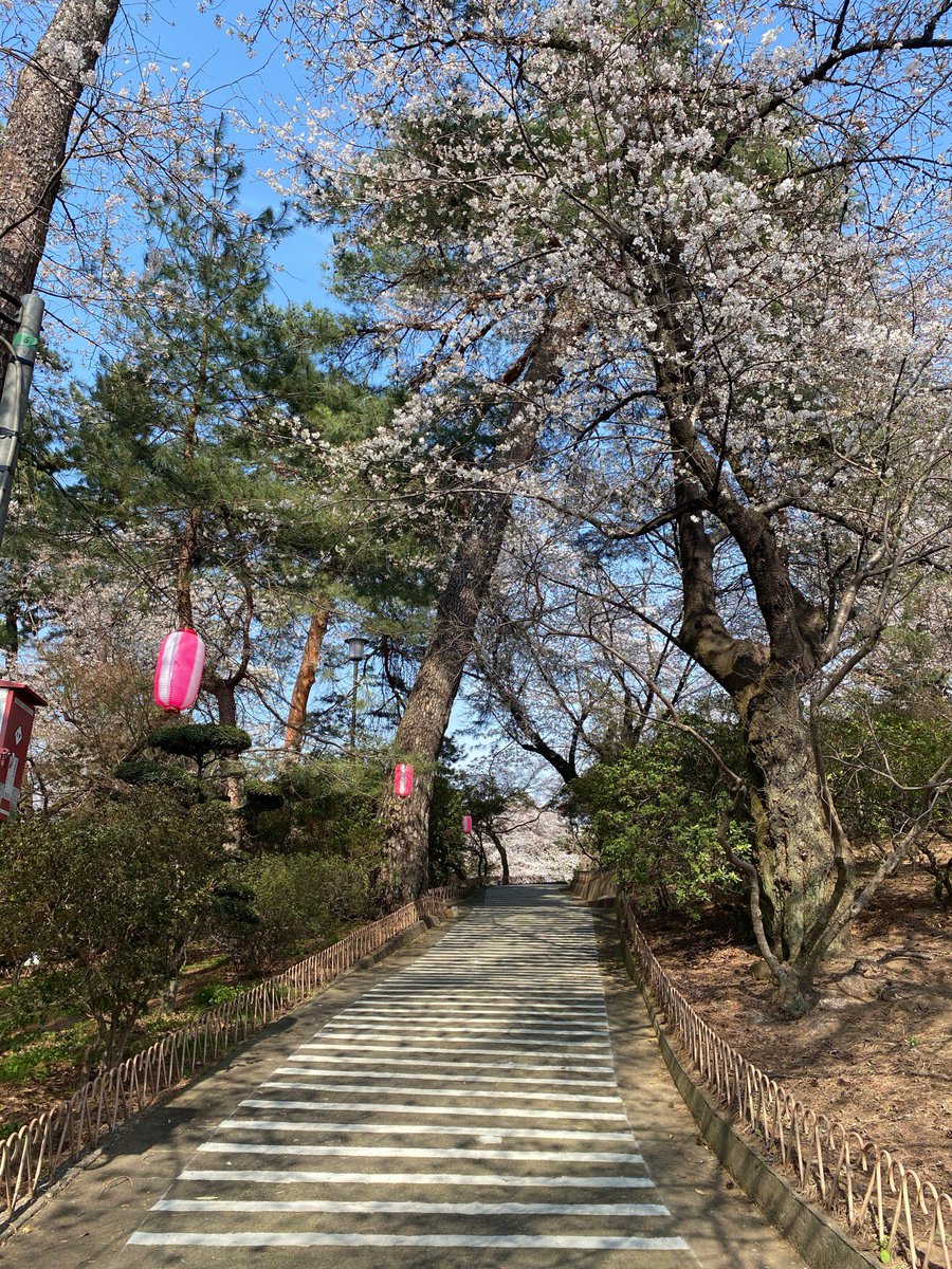 華蔵寺公園 華蔵寺公園