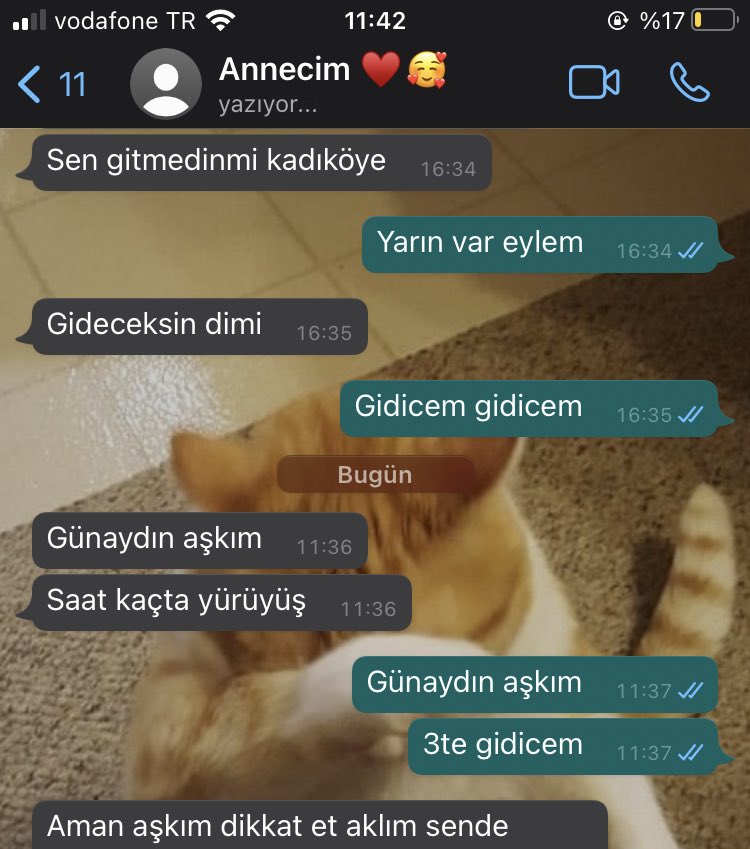 En çok senin için bağırıcam annecim