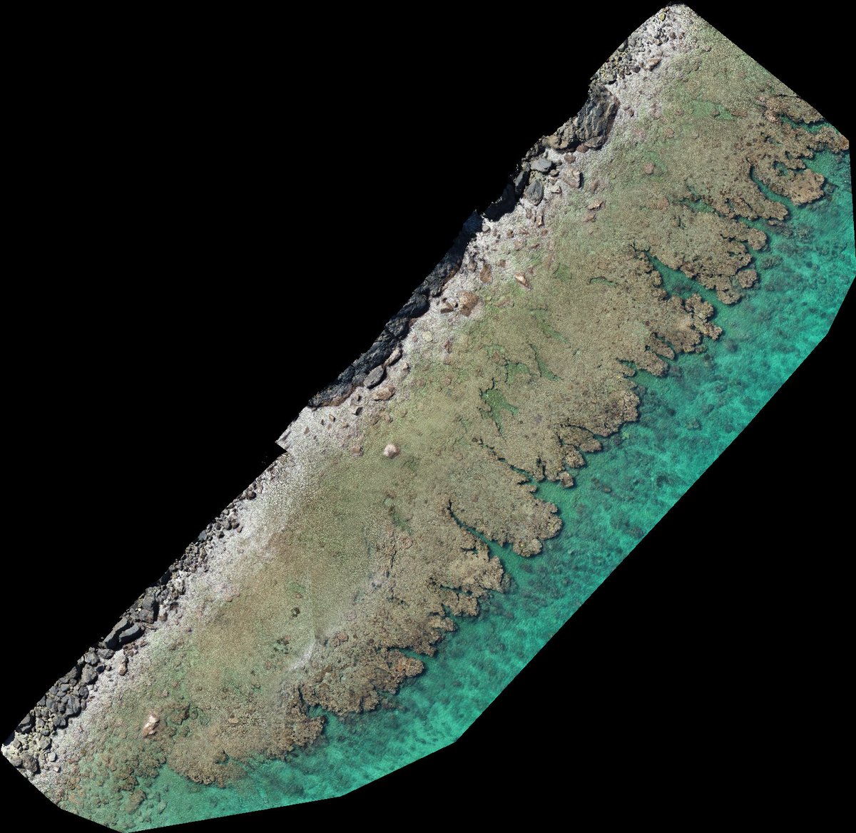 DrKJoyce's tweet photo. Guyroogarrie in the Palm Island group #GreatBarrierReef #dronemapping and learning about coral growth with @jack_koci @MiaHoogenboom @AllisonPaley @StephanieDuce @jcu #dronephotography #drones #GeoNadir #SheMaps https://t.co/Jgr9xI416O