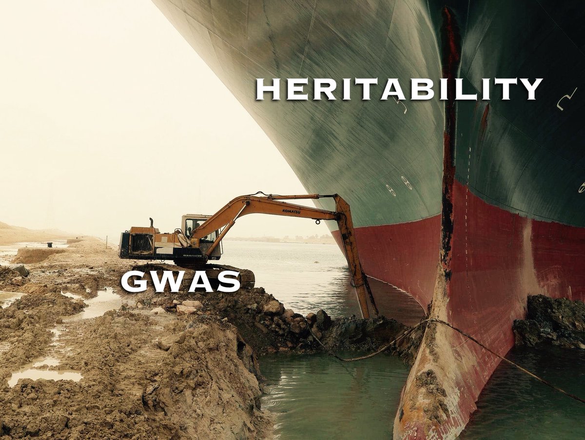 Seminisia's tweet photo. #gwas #heritability #missingheritability #genetics https://t.co/6Ipi7X0Y2s