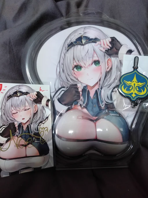 団長きた〜!!!!!
#ノエル団長届いたよ 