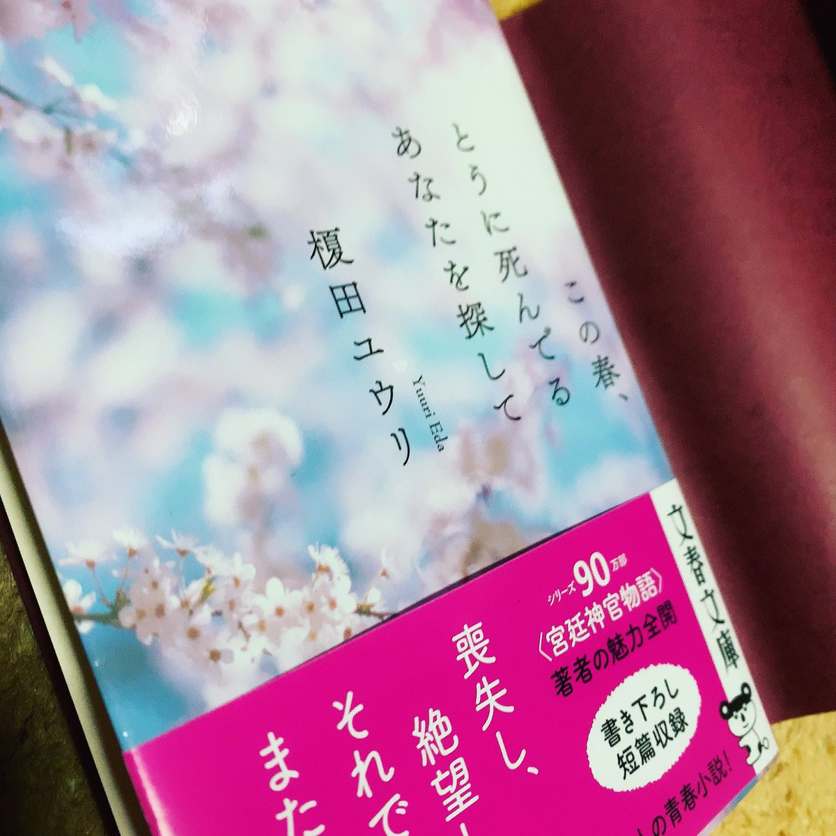 この春とうに死んでるあなたを探して この春とうに死んでるあなたを探して