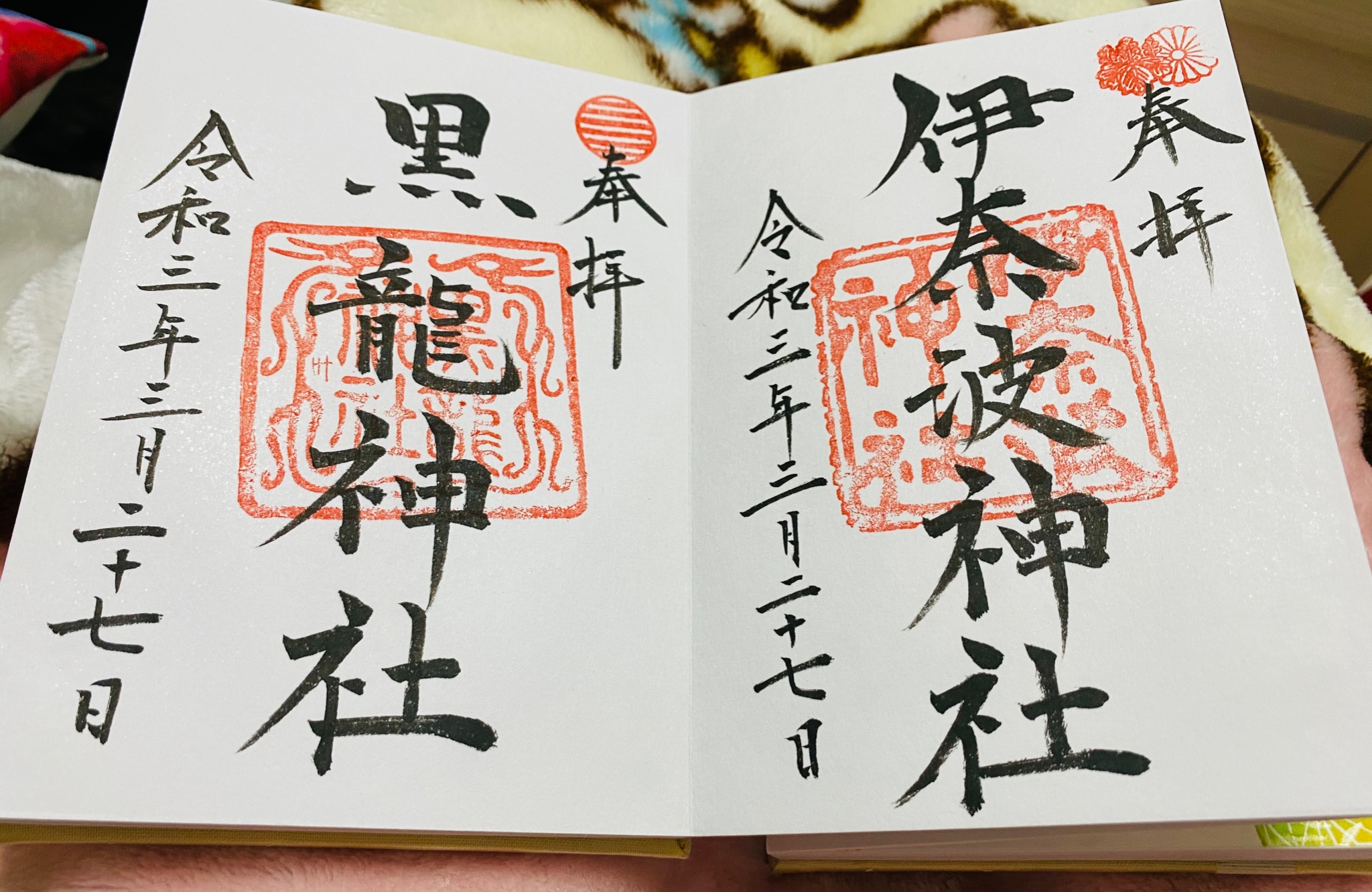 お参りっちゃん 御朱印巡り専用アカウント 三月に参拝した神社 岐阜市の伊奈波神社と黒龍神社 伊奈波通りの枝垂れ桜や境内のソメイヨシノが綺麗に咲いてました 本殿の他にも大黒社や楓稲荷社が鎮座し 多くの参拝者が花を見にきてましたね 御朱印