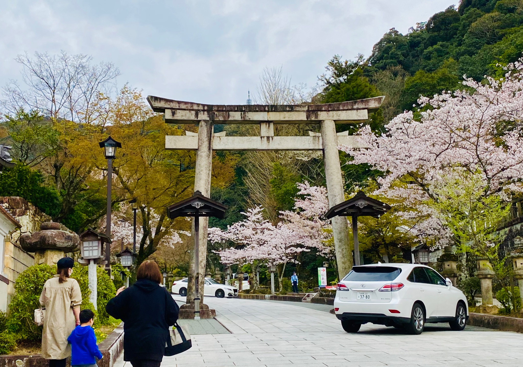 お参りっちゃん 御朱印巡り専用アカウント 三月に参拝した神社 岐阜市の伊奈波神社と黒龍神社 伊奈波通りの枝垂れ桜や境内のソメイヨシノが綺麗に咲いてました 本殿の他にも大黒社や楓稲荷社が鎮座し 多くの参拝者が花を見にきてましたね 御朱印