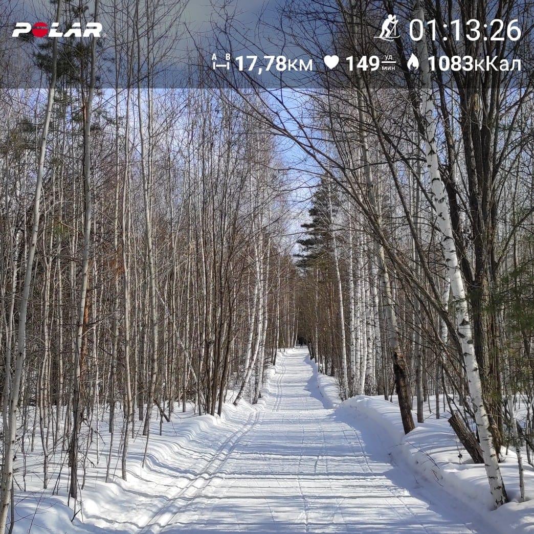 В Лесной были - классная лыжня! 😊