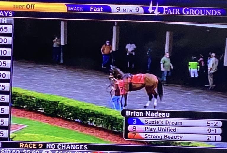 keiber rengifo (Golden Rock Thoroughbred LLC) tweet media