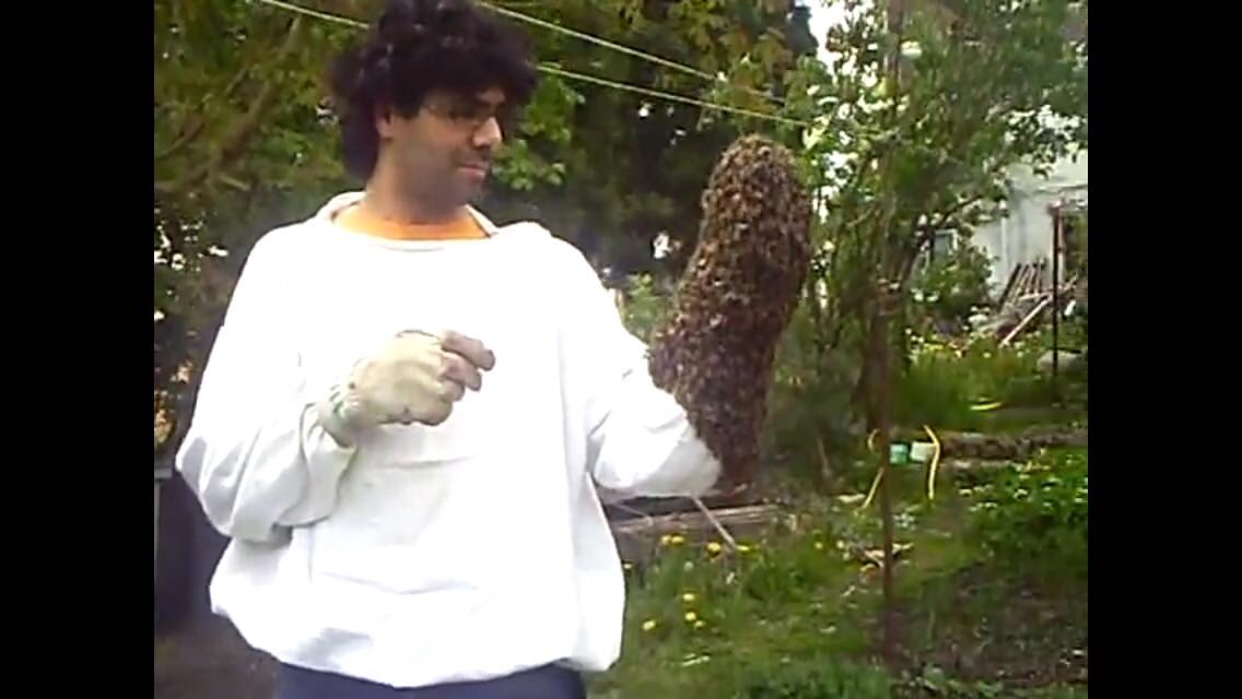 J’aime les #abeilles 🐝 et les abeilles me le rendent bien #biodiversité #Ecologie #nature les protégés c’est protéger l’humanité entière bravo <a href="/3Fnotrelogis/">3F Notre-Logis</a> <a href="/3F_Officiel/">3F_Officiel</a> au coeur de la @MEL_Lille <a href="/hautsdefrance/">Région Hauts-de-France</a>