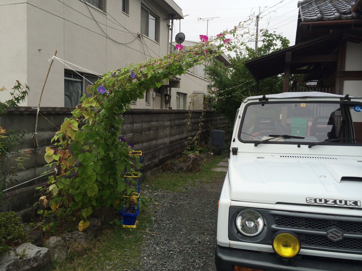 suzuki1kj's tweet photo. #素ガラスはかっこいい
ブルーでもない、UVカットなんてとんでもない・・・
ホンマに眩しいので、サングラスが必須です。
フロントガラス倒しちゃってもいいです。
#JA71C
#ジムニー
#Jimny https://t.co/MXsrF7PwjE