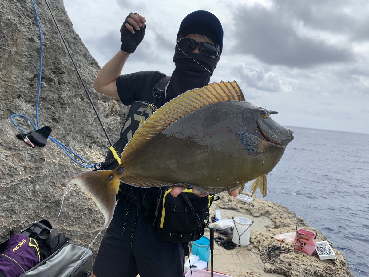 yuuuro32's tweet photo. 5泊6日波照間島遠征行ってきました🎣
初日は海荒れて船が欠航になったり途中雨降ったりして大変だったけど楽しく釣りできました😊自分はフカセ竿で頑張りましたけど大物タックル揃えてまた行きたいと思いました！夢の釣り場で釣りができたことに感謝です！😂😭 https://t.co/fBSAgbVB76