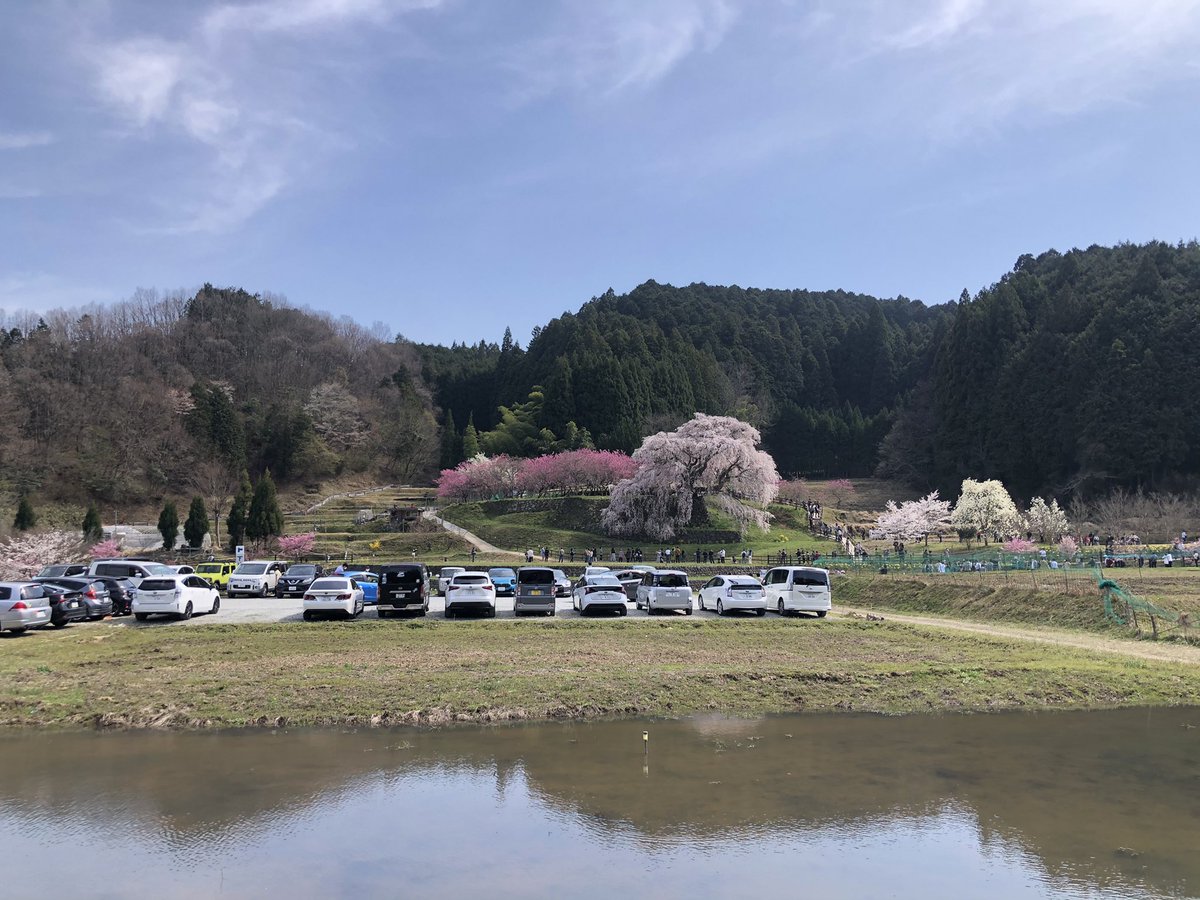 避けられてる 避けられてる