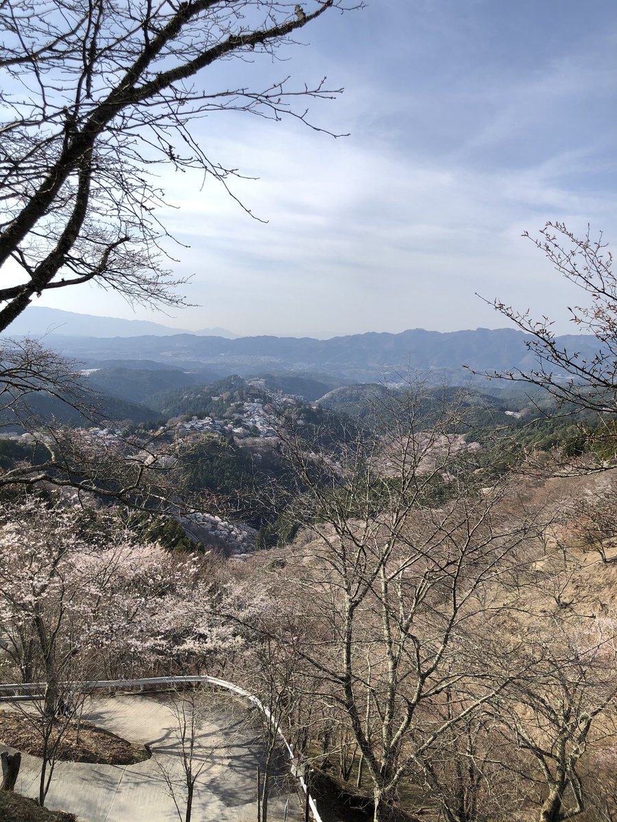 避けられてる 避けられてる
