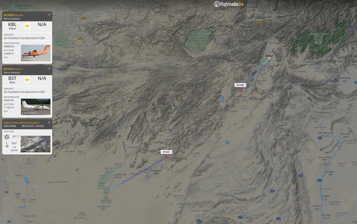 Lilo*Stern tweet media