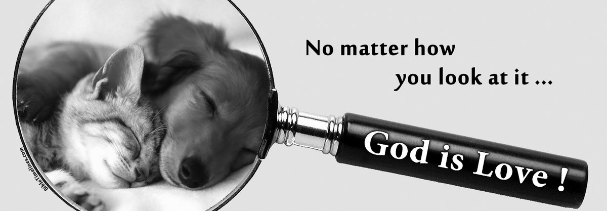 bibletimelines's tweet image. 