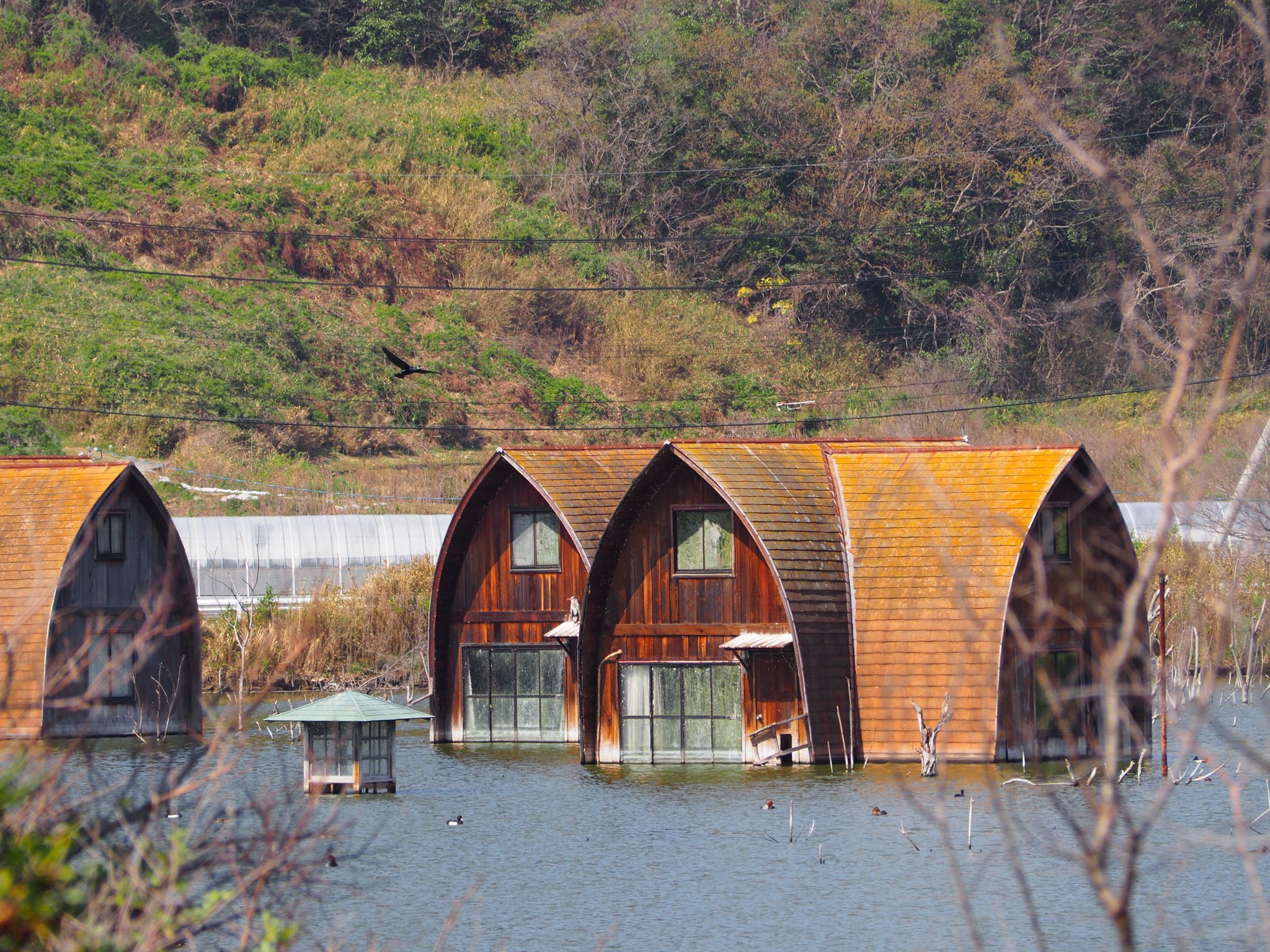 スペース地蔵 牛窓の水没ペンション村跡 岡山県瀬戸内市牛窓 T Co Darrymyilm Twitter