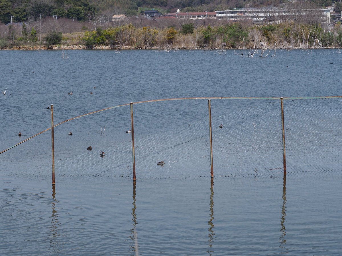 スペース地蔵 牛窓の水没ペンション村跡 岡山県瀬戸内市牛窓 スペース地蔵 牛窓の水没ペンション村跡 岡山県瀬戸内市牛窓