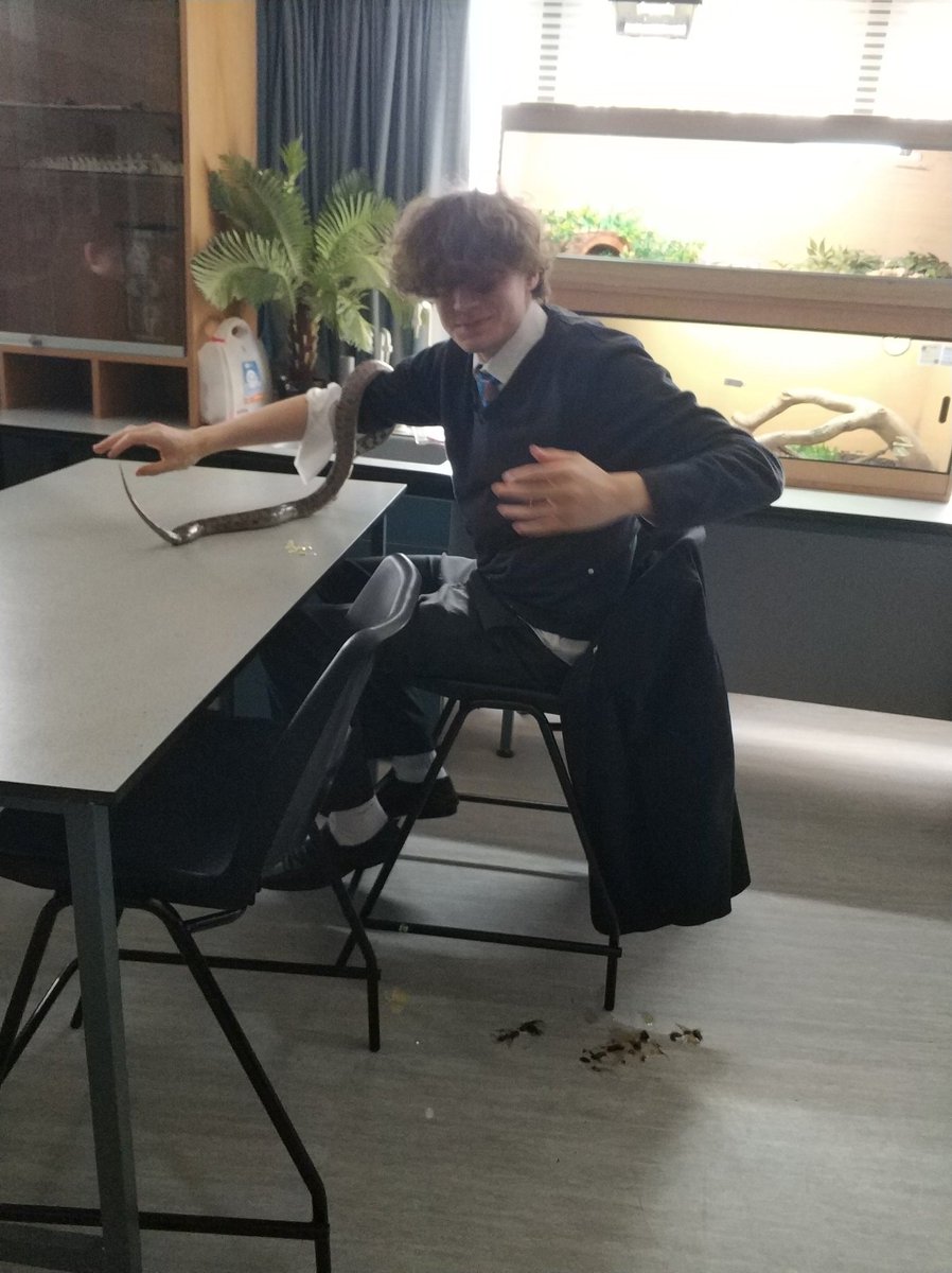 RadleyBiology's tweet photo. James F has a moment of regret after giving the snake in @RadleyBiology classroom B6 some freedom. https://t.co/6LYRMyTbx3