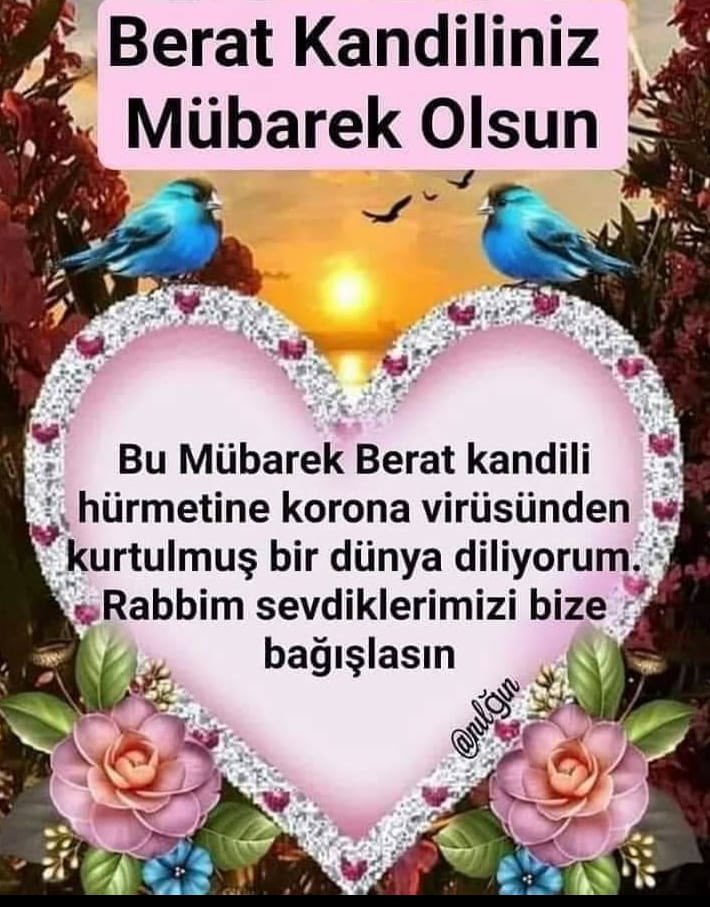 Hasan (@hasan89037450) on Twitter photo 