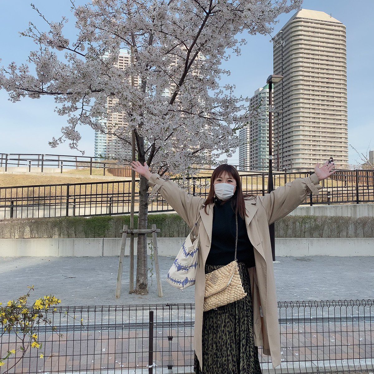 busystreetmiku's tweet photo. 桜〜
何年前か忘れたけどその時と同じポーズ
今年は桜見れる幸せ🌸 https://t.co/vgtTEmSnEu