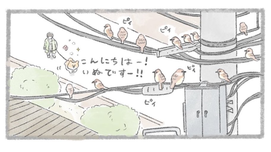 ピィピィ 