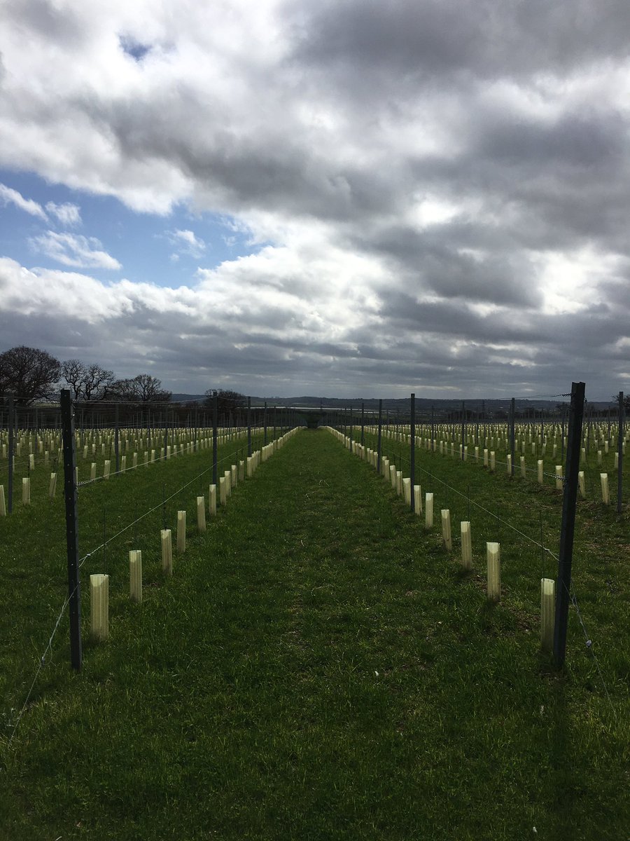 Mike Best tweet media