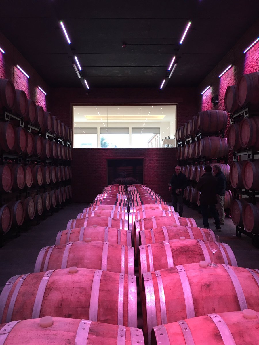 Mike Best tweet media