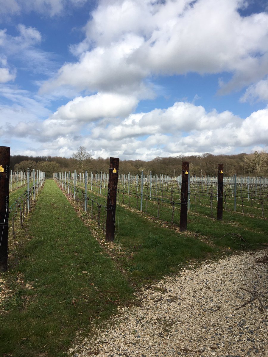 Mike Best tweet media