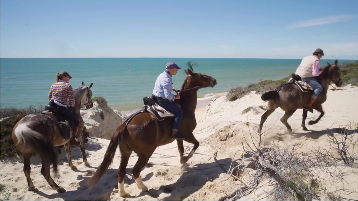 MejorPlaya's tweet photo. Una #rutaecuestre por las dunas de #Doñana gracias a la Hípica El Pasodoble donde viviremos una experiencia única a caballo cerca del mar.

Este reportaje tan interesante para los amantes del #MundoEcuestre lo podrán ver este sábado a las 13.05h. en @canalsur #TodoCaballoCSTV https://t.co/ZAcLcP2O3q