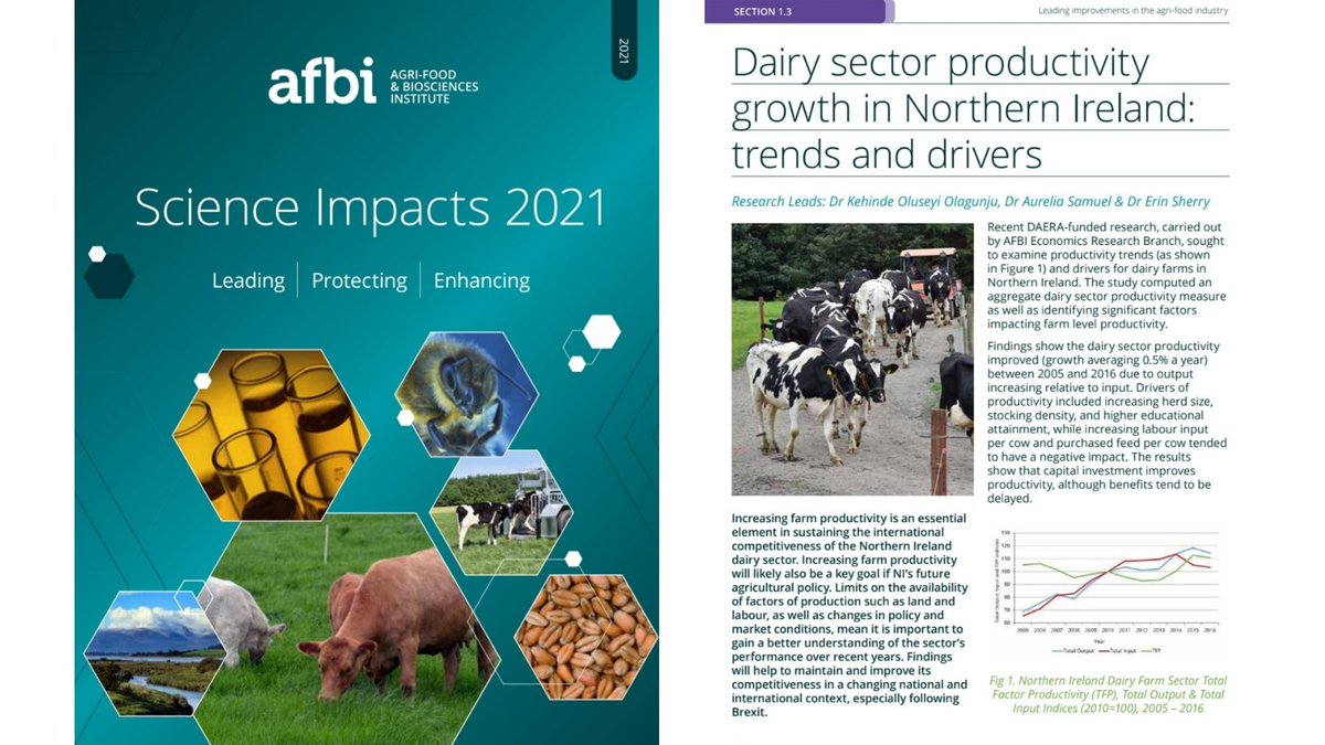 Great to see our #Dairy #Productivity project featured in the 2021 <a href="/AFBI_NI/">AFBI</a> Science Impacts booklet.

Highlighting the trends and key driving factors of productivity growth in #NorthernIreland dairy sector. #Sustainability  #impact <a href="/Erin_S_Sherry/">Erin Sherry</a>