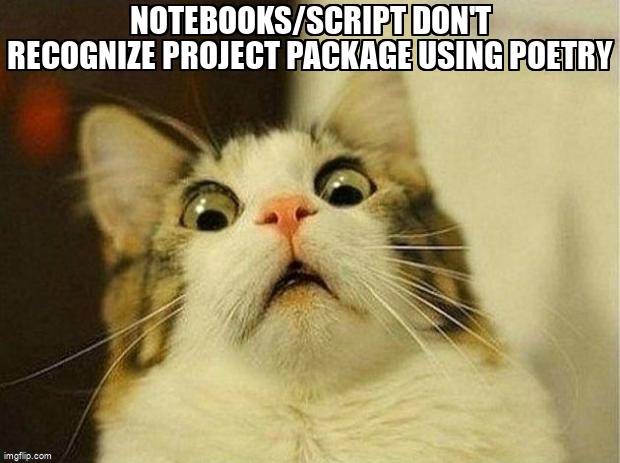 overflow_meme's tweet image. Notebooks/script don&apos;t recognize project package using poetry stackoverflow.com/questions/6666… #python #pythonpoetry