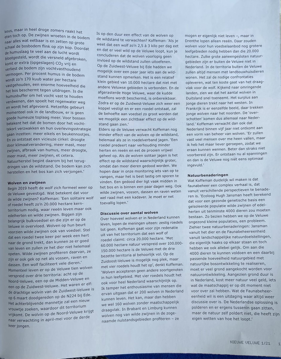 Maarten Veldhuis 💬 tweet media