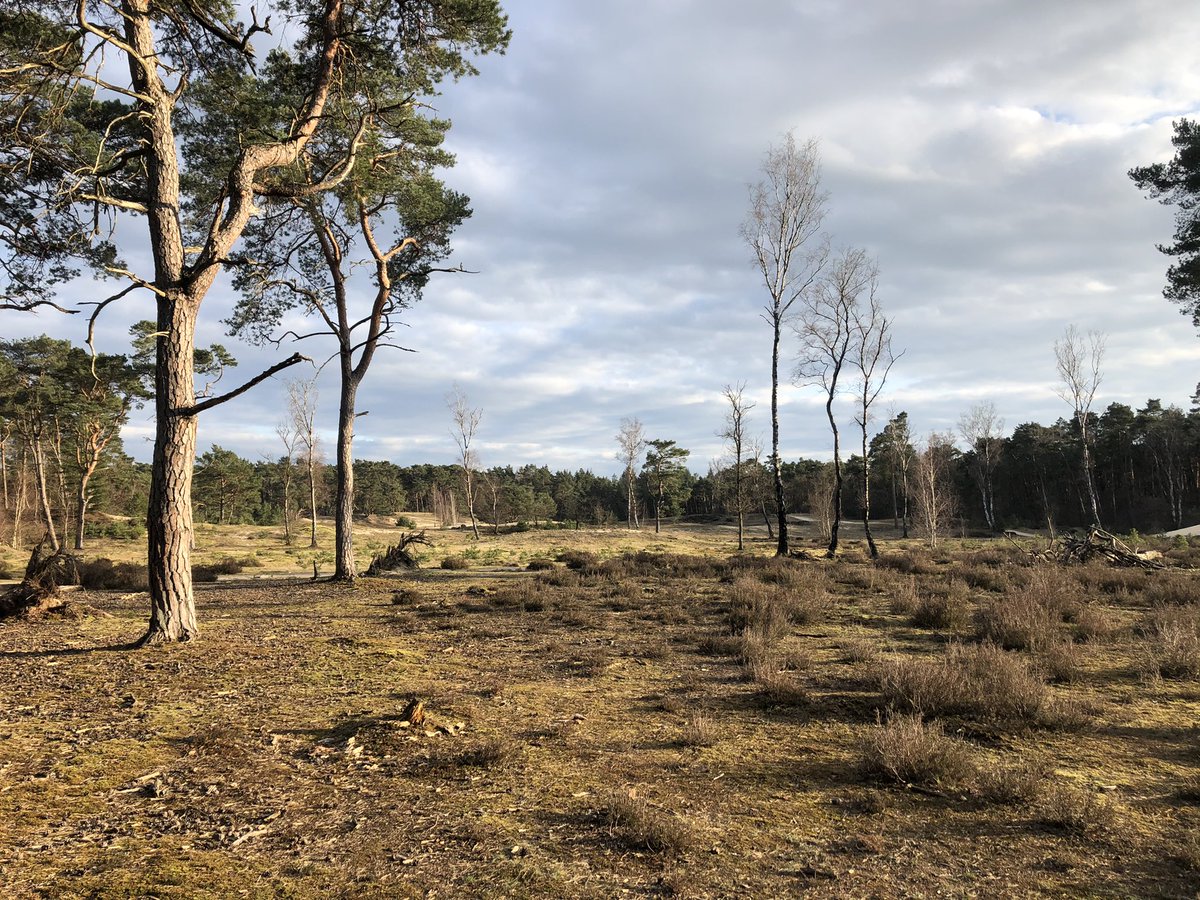 Victor van Hooijdonk (@victorhooijdonk) on Twitter photo 