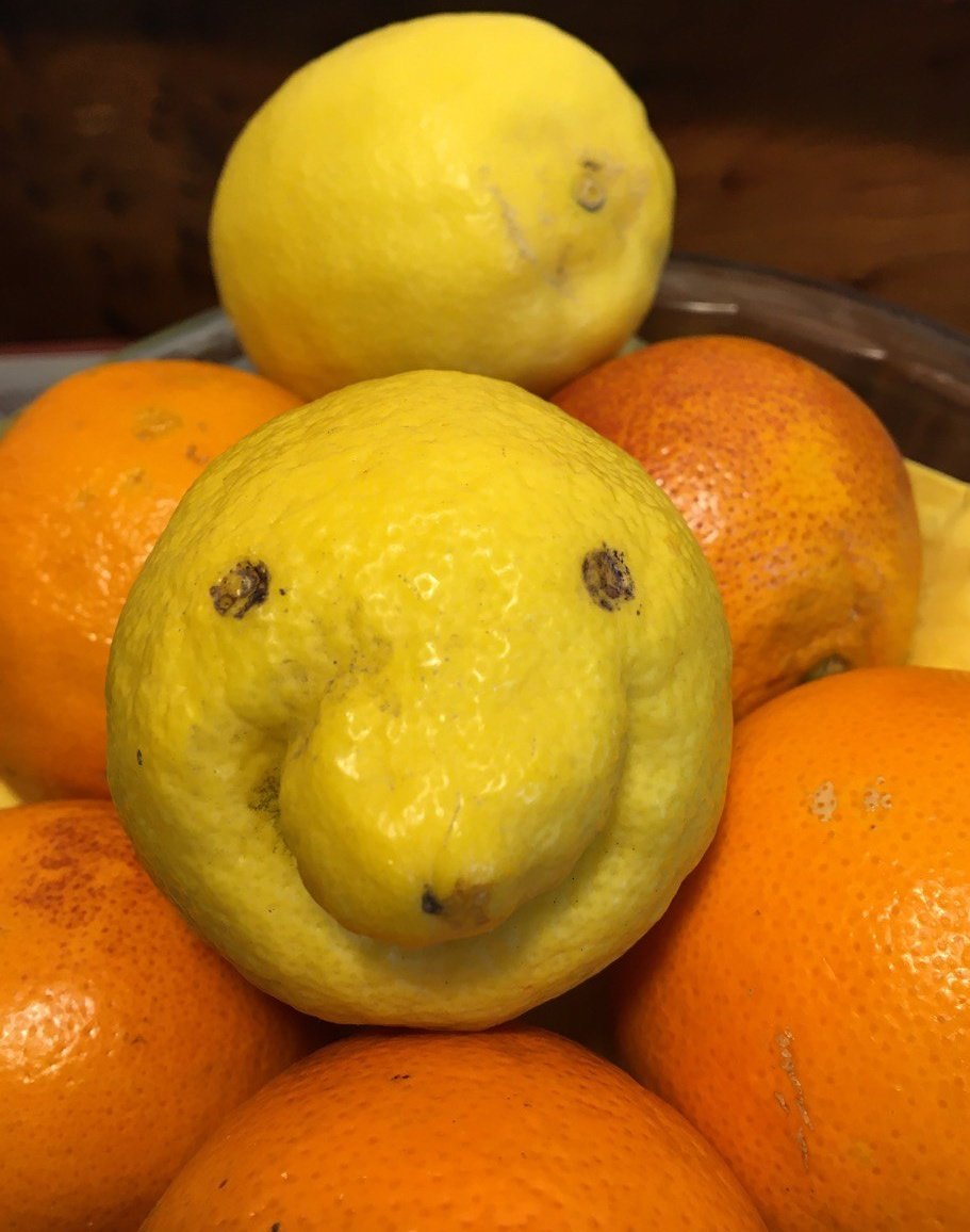 Mieter*innen sind keine Zitronen. Aber sauer.
Und mit Power.
🍋 Heraus zum #HousingActionDay2021!
In Berlin: Demo 12 Uhr am Roten Rathaus (AHA!)
🍋  #MietenstoppDE - #Verdrängung  stoppen - #KischUndCo &amp; <a href="/Potse_Berlin/">Potse</a> &amp; Kleingewerbe erhalten - Wohnungskonzerne vergesellschaften