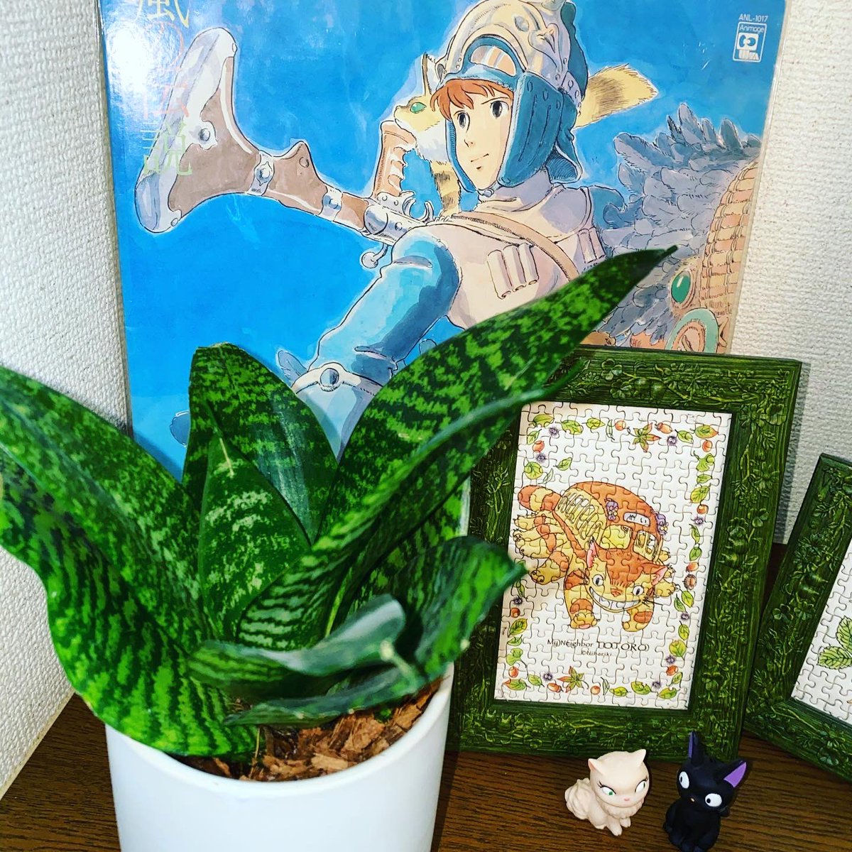 Jantaka0's tweet photo. 家で育ててるサンスベリアとパキラです

パキラはそろそろ剪定してあげたいですな☺️

この子らにはいつも癒してもらってます！

#植物のある暮らし #植物 #植物のある生活 #剪定 #パキラ #サンスベリア #緑 #癒し #ジブリ #パズル #猫バス #魔女の宅急便 https://t.co/Axi7nyKr1M