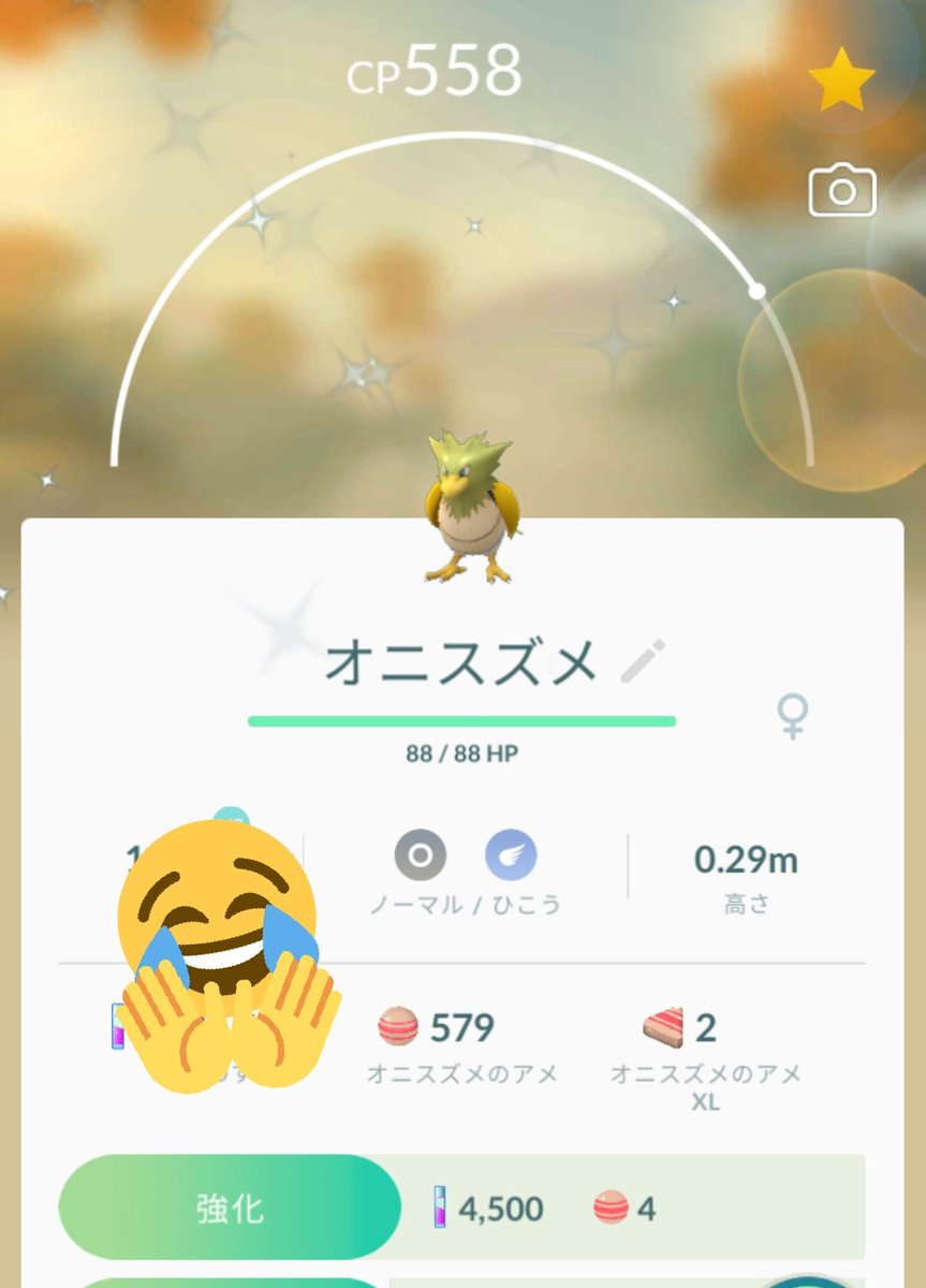 くーや レックウザの色違いは出ないけど オニスズメが光ってくれた ずっと欲しかったなら嬉しい 艸 ポケモンgo Pokemongo ポケモンgoレイド募集 色違いオニスズメ 色違い T Co D1rqlx43b3 Twitter