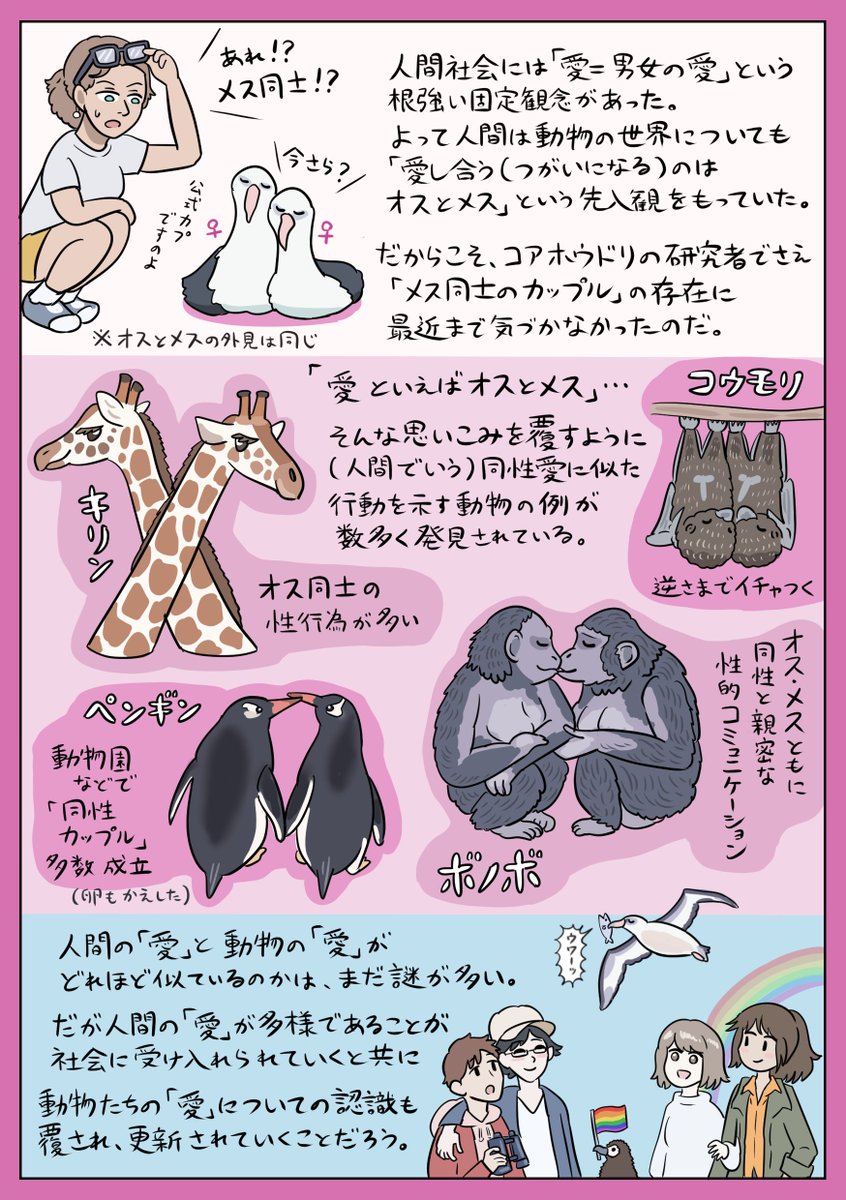 理想的な夫婦の象徴といわれるコアホウドリ 実はメス同士の同性カップルもたくさんいたと判明 Togetter 理想的な夫婦の象徴といわれるコアホウドリ 実はメス同士の同性カップルもたくさんいたと判明 Togetter
