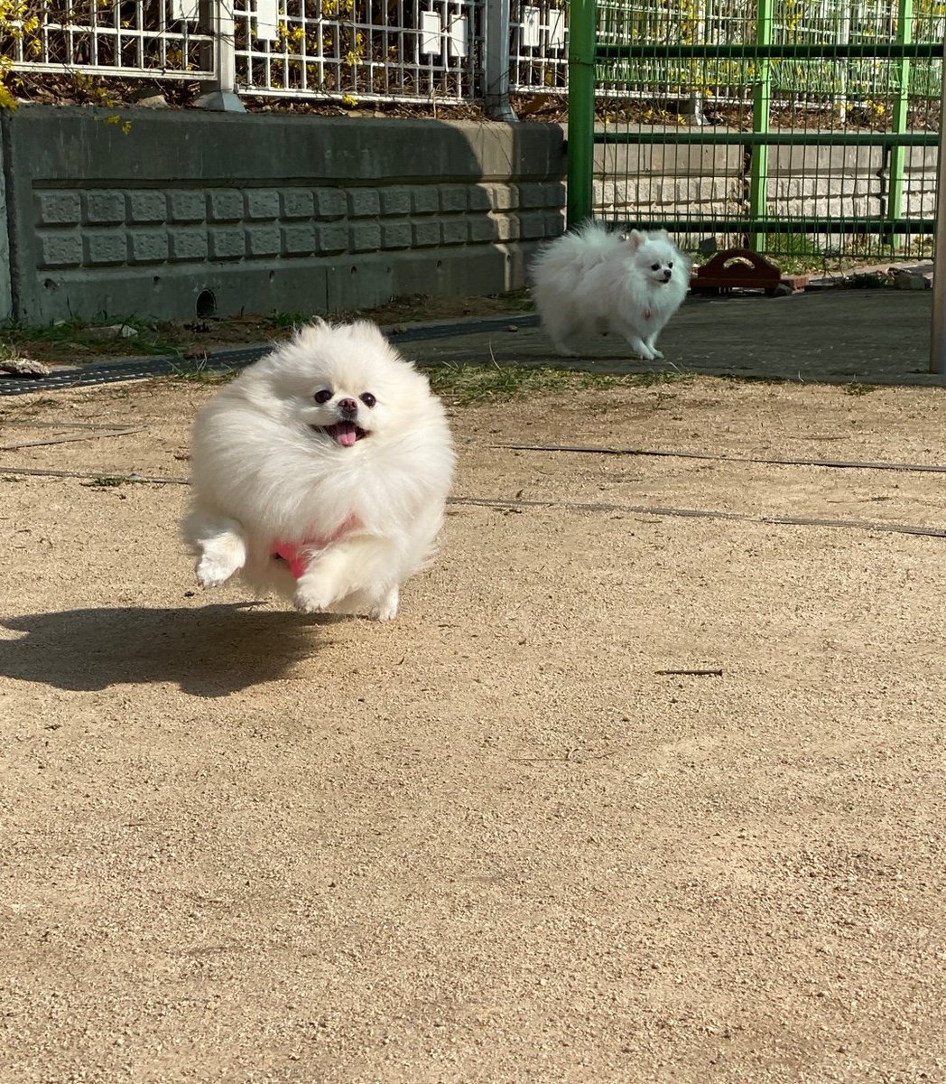 BB__030's tweet photo. https://t.co/0CRXzkKEMS