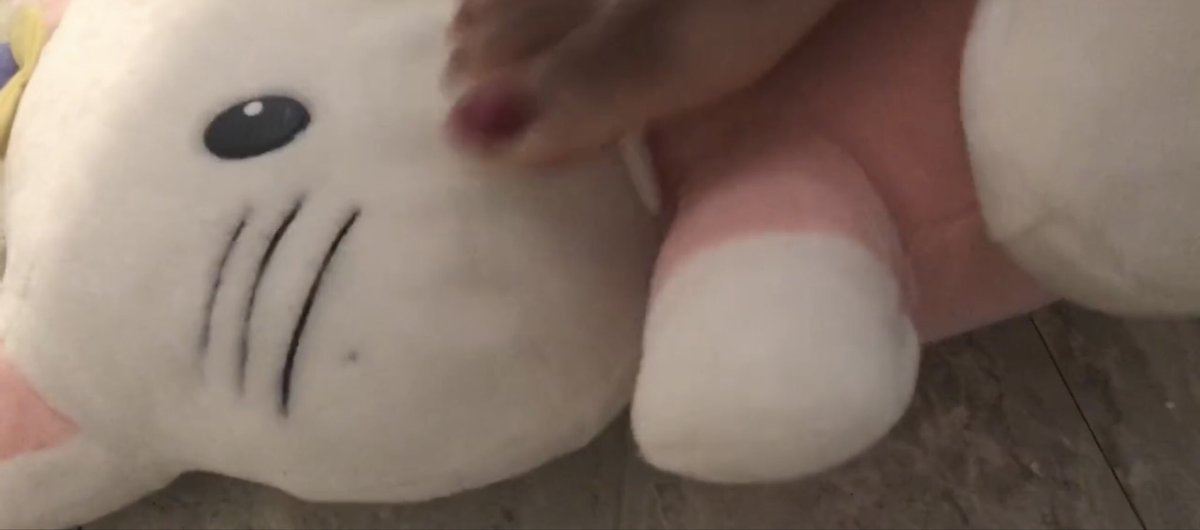 GoddMXDominion's tweet photo. Dm for your own sole tea crushfetishmodel #crushfetishfeet #crushfetishgirls #crushfetishphoto #crushfetishcr #Footworship #footporn #footfetishnation #foottrampling #footfetishcommunity #footworshipping #foottrample #footsluts #footworshipnation #footcrushing #footsmashing https://t.co/nSIvUK8X8Q
