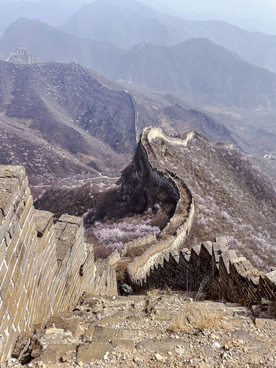 the Sai Lab tweet media