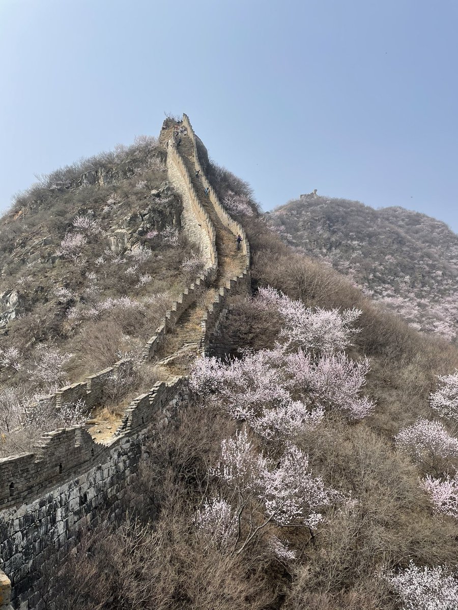 the Sai Lab tweet media