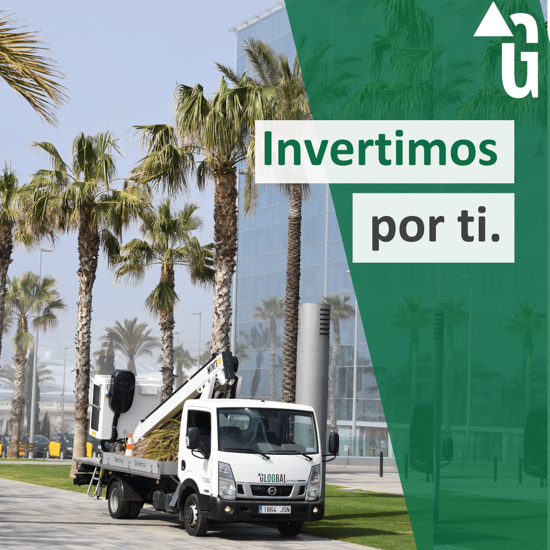 GloobalRenting's tweet photo. #Invertimos por ti.

Comprometidos en ofrecer siempre el mejor vehículo con plataforma, actualizamos nuestra flota e invertimos en #soluciones para poder tener siempre la opción más eficaz y adecuada para nuestros Clientes. 

Link aquí: https://t.co/OH725tyJgx  #GloobalTeam https://t.co/G5c13e1pNC