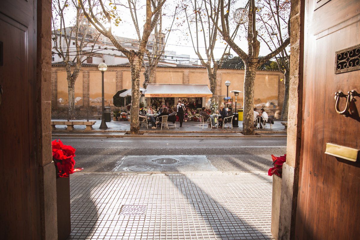 TASTmallorca's tweet photo. Además de en la terraza de #ElNáutico, seguimos ofreciendo servicio en las terrazas de #Rambar (La Rambla) y #TastUnión (en Galerías Miguel Juan Ribas) ¡y con horario ampliado!
-Rambar: todos los días 11:30h-17h (vermú🍸, brunch al ☀️ y menú🍴)
-Tast Unión: todos los días 13h-17h https://t.co/csLHwFBfJD
